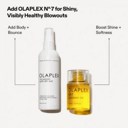 Screenshot 2025-05-28 at 18-47-38 VOLUMIZING BLOW DRY MIST